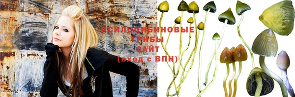 apvp Верхний Тагил