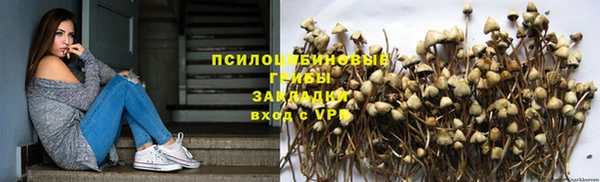 МДПВ Остров